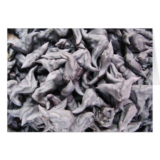 Noix de bison - Carte Caltrop pour eau (Devant horizontal)