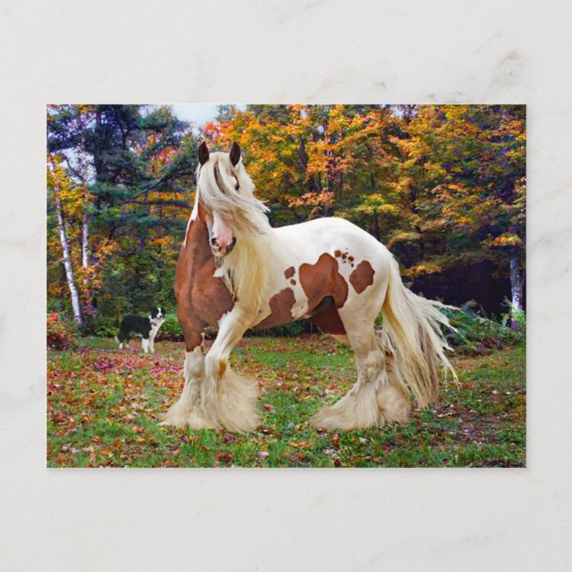 "Nokomis" Postcard (Front)