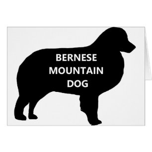 Nom BMD silhouette.png