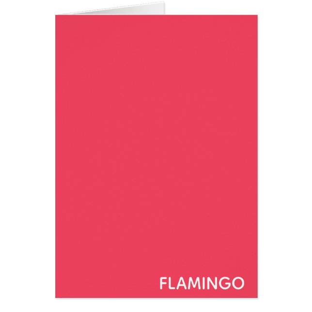 Nom de couleur rose Flamant rose (Devant)