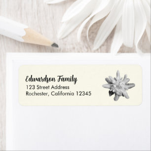 Nom de famille de fleurs Edelweiss adresse de reto