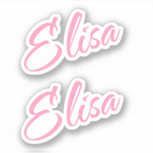 Nom décoratif Elisa en rose x2 Sticker