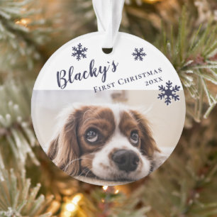 Nom et photo du chien de Noël du chiot