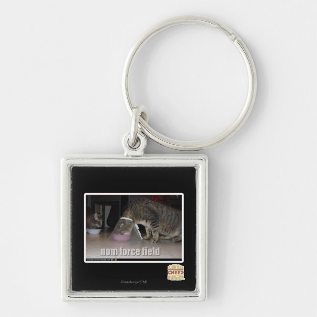 nom force field keychain (Front)