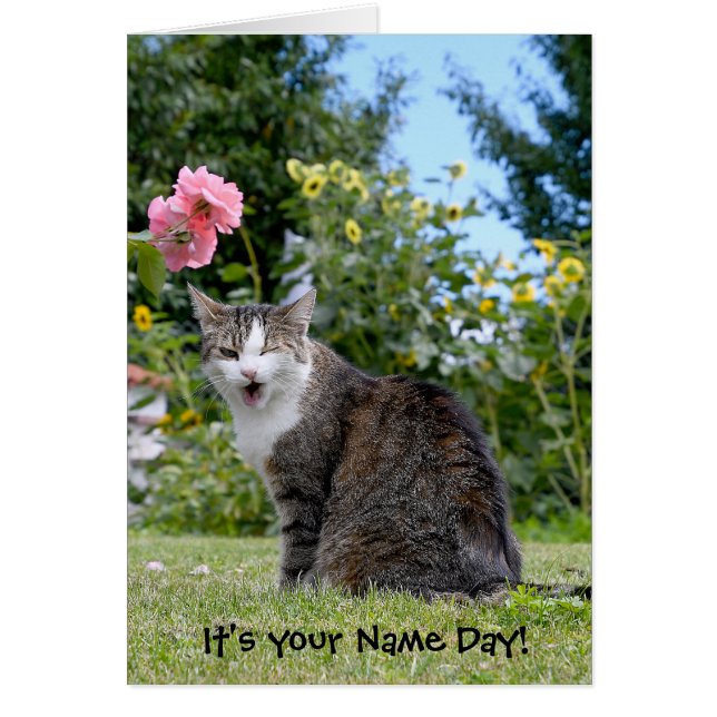 Nom Jour de l'éveil tabby chat (Devant)