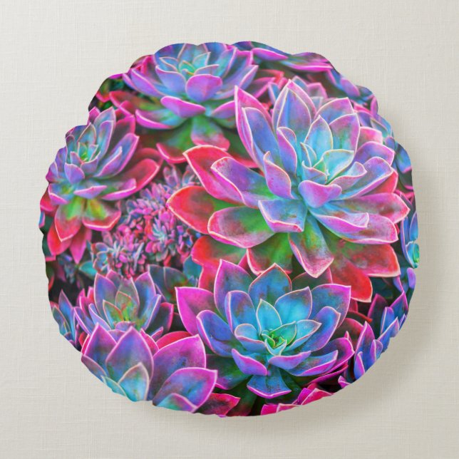 NOMADESAUSTRALIENS neon pink succulents Round Pillow (Front)