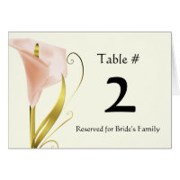 Nombre de corail chic de Tableau de zantedeschia
