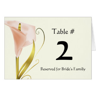 Nombre de corail chic de Tableau de zantedeschia