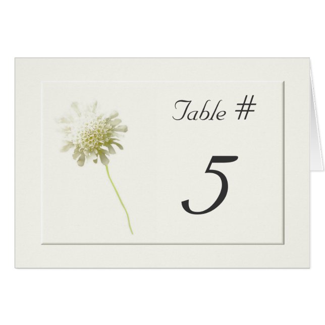 Nombres floraux de Tableau de mariage de pissenlit (Devant horizontal)