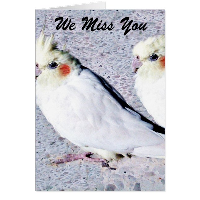 non défini (Devant)