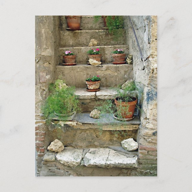 Non Entrare Per Favore Postcard (Front)