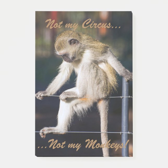 Non mon cirque, non mes protections de post-it de (Devant)