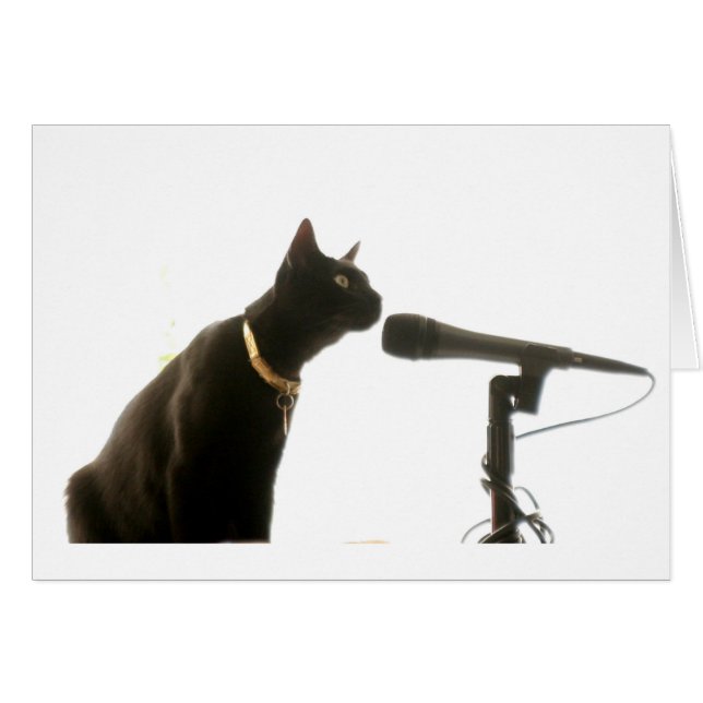 Non RCA (Devant horizontal)