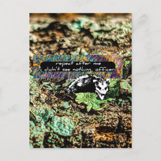 Noncompliant Postcard