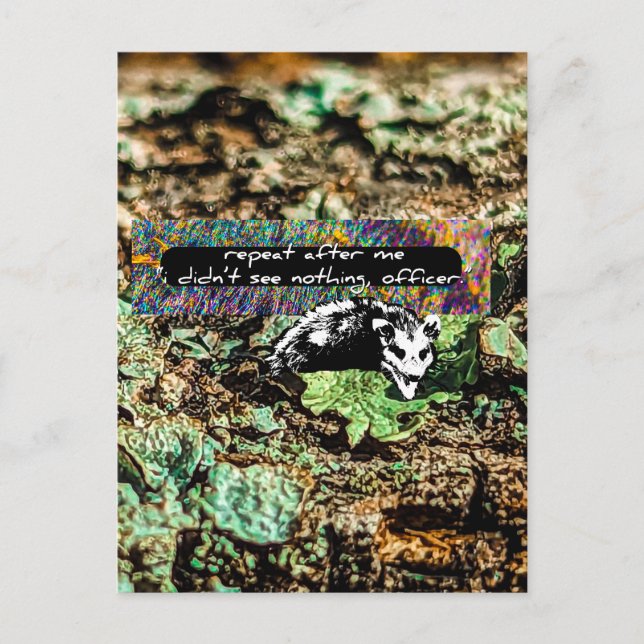 Noncompliant Postcard (Front)