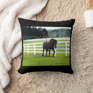 Nonesuch at Cedar Point  Throw Pillow