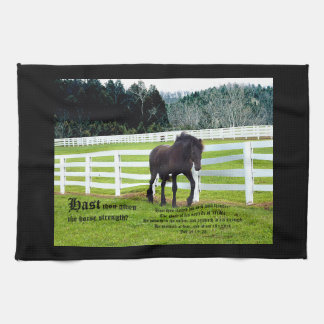 Nonesuch at Cedar Point w Job 39 Kitchen Towel