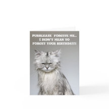NoodlesChillaxingCat Belated Birthday