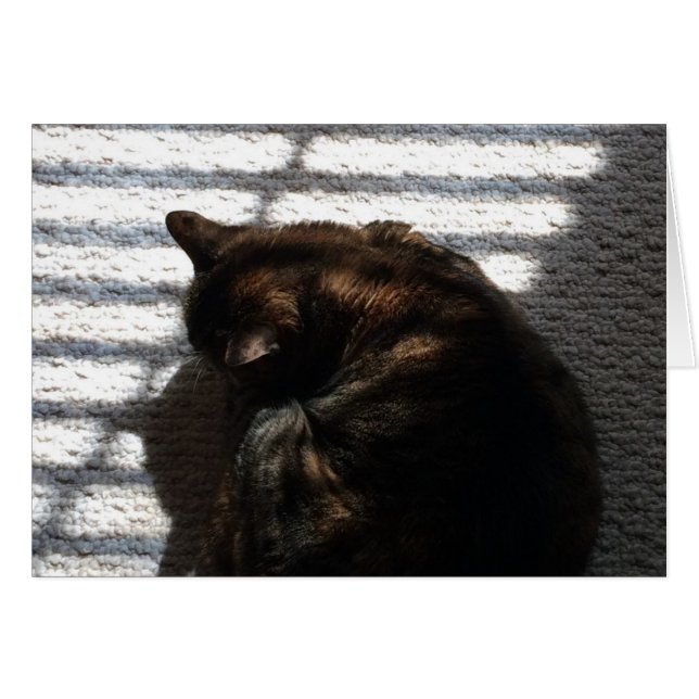 Noontime Nap, card (Front Horizontal)