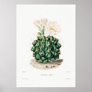 Nopal Drawing of a Cactus Flower Cactus Plant Imag Poster