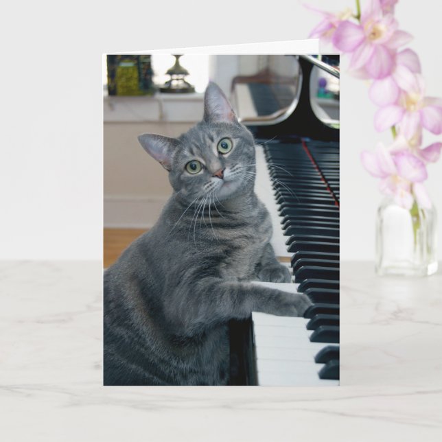 Nora The Piano Cat - Blank Folded Card - Style 004 (Orchid)