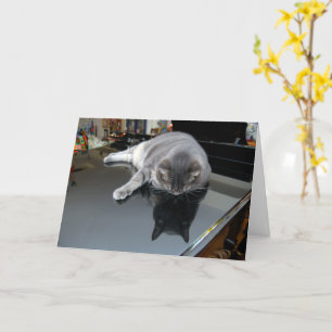 Nora The Piano Cat - Carte pliée vierge - Style 00