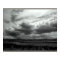 NorCal in May?