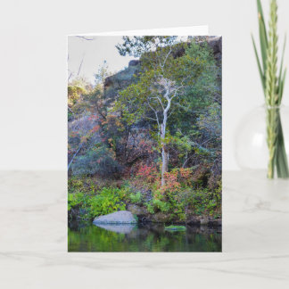 NorCal Nature Greeting Card: Upper Park Card 2