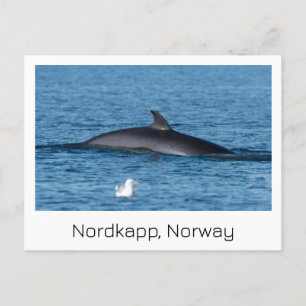 Nordkapp, Norvège carte postale souvenir.