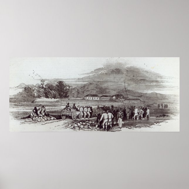 Norfolk Island Poster (Front)