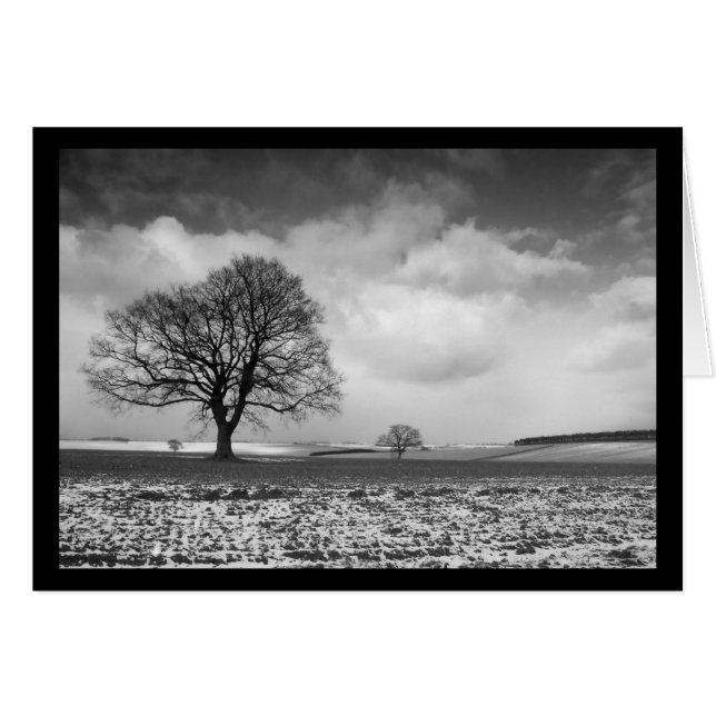 norfolk show scene (Front Horizontal)