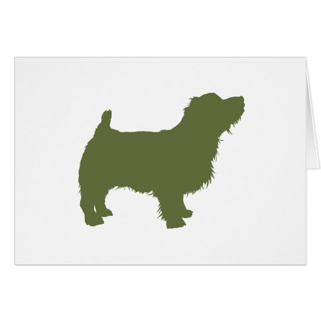 Norfolk Terrier (Front Horizontal)