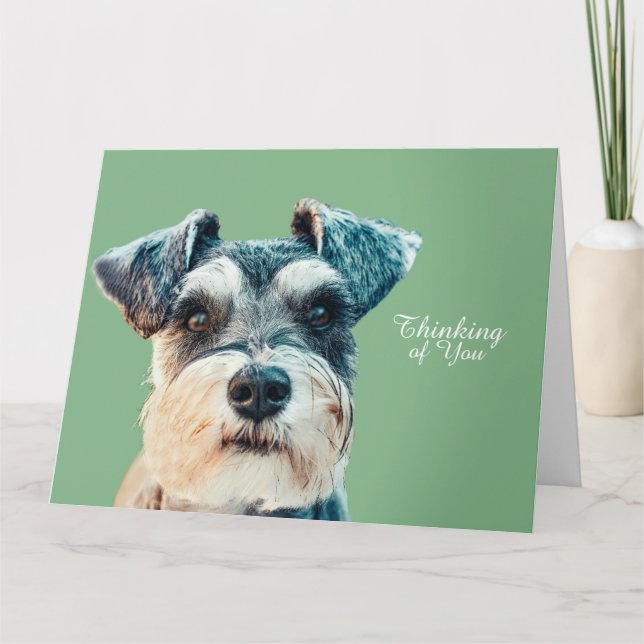 Norfolk Terrier Card (Front)
