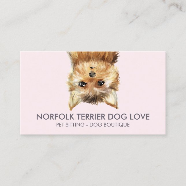 Norfolk Terrier Dog Business Card (Front)