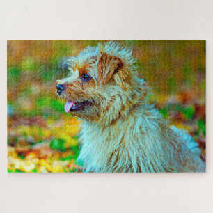 Norfolk  terrier Dog. Jigsaw Puzzle