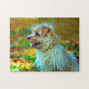 Norfolk  terrier Dog. Jigsaw Puzzle