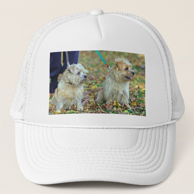 Norfolk-terrier-dogs Trucker Hat (Front)