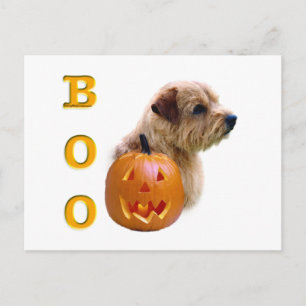 Norfolk Terrier Halloween Boo Postcard