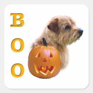 Norfolk Terrier Halloween Boo Square Sticker