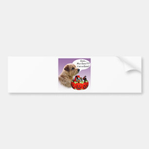 Norfolk Terrier Halloween Candy Bumper Sticker