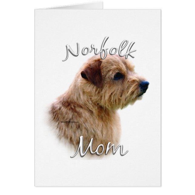Norfolk Terrier Maman 2 (Devant)
