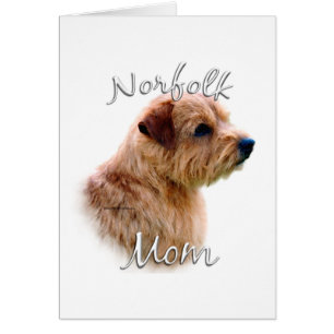 Norfolk Terrier Mom 2