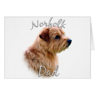 Norfolk Terrier Papa 2