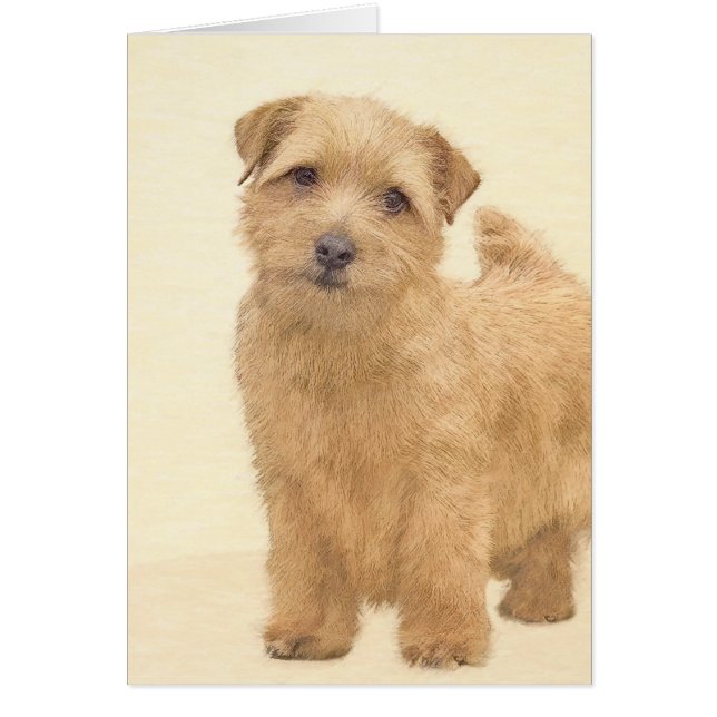 Norfolk Terrier Peinture - Art Chien original (Devant)