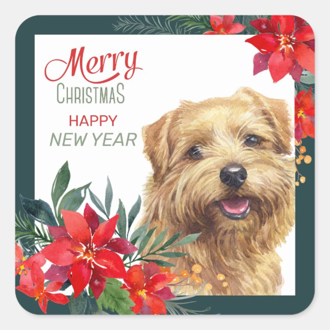 Norfolk Terrier Poinsettia Border Christmas Square Sticker (Front)