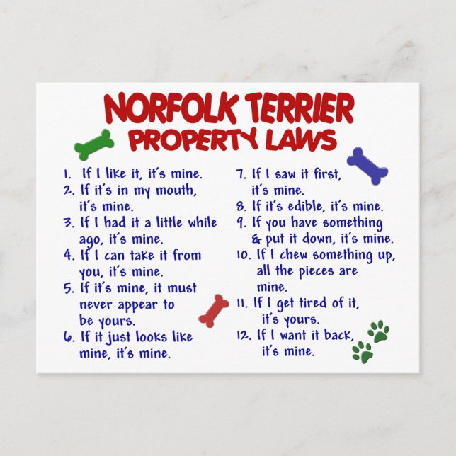 NORFOLK TERRIER Property Laws 2 Postcard (Front)