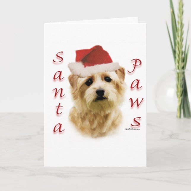 Norfolk Terrier Santa Paws Holiday Card (Front)
