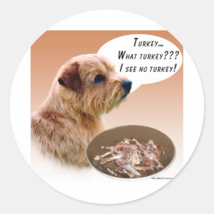 Norfolk Terrier Turkey Classic Round Sticker