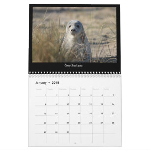 Norfolk (UK) Coastal Wildlife calendar 2018