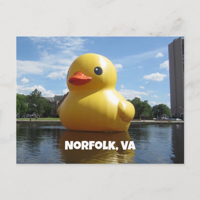 Norfolk, Virginia (Duck) Postcard (Front)